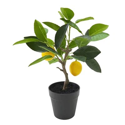 손을 느끼는 라텍스 과일