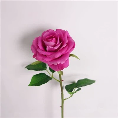 자연스러운 터치 꽃 줄기